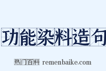 功能染料造句是什么意思的图片